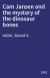 Cam Jansen and the mystery of the dinosaur bones