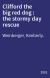Clifford the big red dog : the stormy day rescue