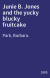 Junie B. Jones and the yucky blucky fruitcake