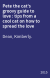 Pete the cat's groovy guide to love : tips from a cool cat on how to spread the love