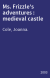 Ms. Frizzle's adventures : medieval castle