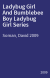 Ladybug Girl And Bumblebee Boy Ladybug Girl Series