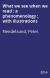What we see when we read : a phenomenology ; with illustrations