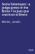 Sonia Sotomayor : a judge grows in the Bronx = la juez que creció en el Bronx