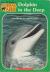 Dolphin in the Deep (Animal Ark Series #22)