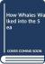 How Whales Walked Into the Sea