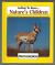 Pronghorns (Getting to know ... nature's children)