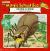 The Magic School Bus Spins a Web A Book about Spiders