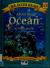About the Ocean