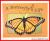 A Butterflys Life