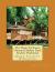 The Magic Treehouse Dinosaurs Before Dark Student Workbook Quick Student Workbooks