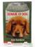 Beware of Dog (McGrowl #1)