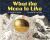 What the Moon Is Like