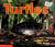Turtles