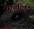 Spiders