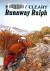 Runaway Ralph