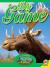 Big Game (Outdoor Hunting Guide)