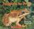 Tadpole to Frog (Scholastic Readers)