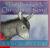 The Donkey's Christmas Song