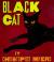 Black Cat (Coretta Scott King Illustrator Honor Books)