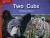 Reading Wonders Leveled Reader Two Cubs: Approaching Unit 7 Week 1 Grade K