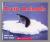 Arctic Animals