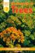 The Secret Life of Trees (DK READERS)