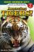 Amazing Tigers!