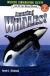 Amazing Whales!