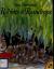Rabbits and Raindrops (Picture Puffin Books)