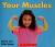 Your Muscles