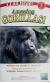 Amazing Gorillas!.