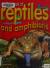 My First Book of Reptiles & Amphibians