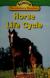 Horse Life Cycle