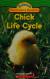 Chick Life Cycle