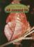 Living Things.around, On-level Reader Grade 3 Harcourt School Publishers Science