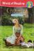 World of Reading: Cinderella Kindness and Courage Level 2
