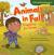 Animals in Fall Preparing for Winter