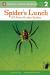 Spider's Lunch: All About Garden Spiders