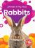 Rabbits (Animals in My Yard: Blastoff!, Beginners)