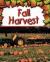 Fall Harvest