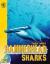 Hammerhead Sharks