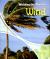 Wind