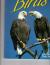 Florida's Fabulous Birds Land Birds: Their Stories