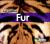 Fur