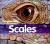 Scales