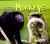 Monkeys