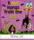 A Bat Hangs from the Bat