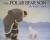 Reading Mastery - The Polar Bear
