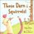 Those Darn Squirrels!